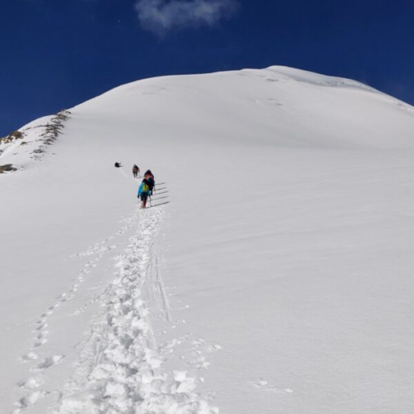 UT Ladakh Kangri tour package